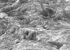 Gams11s.jpg (35605 bytes)