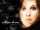 High quality Celine Dion wallpaper.
