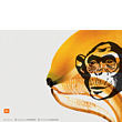 Wallpaper: Monkeying