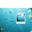 Wallpaper: Tsilli July