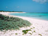 Anegada