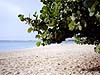 Grand Cayman