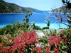 BVI