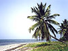 Punta Cana