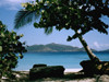 Tortola