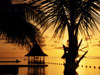 Jamaica