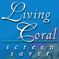 Living Coral Screensaver beautifully displays an animated undersea ecosystem, with beautiful tropical fish, turtles, starfish, urchins, manta rays and even a few divers in the background. Combine that with the most tranquil music you could imagine and you will find yourself transported into an undersea sanctuary. This free, full version screensaver also includes two more beautiful scenes.