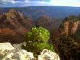 Download the Free Grand Canyon Screensaver with Wallpaper