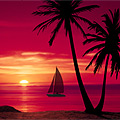 Living Beaches Screensaver - Realistic water animation transports you to your own tropical water wonderland. Watch these delightfully animated scenes for all sorts of activity including blue crabs, Wilson's plovers, sea gulls, various boats and windsurfers, dolphins playing in the distance and small airplanes in the sky. Living Beaches also adds the soothing sound of the waves lapping the shore as well as calming music to complete your desktop vacation. This free full version screensaver also includes two more stunning beach scenes, more animations and static images, plus the ability to turn on and off both the sounds and background music.