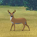 Living Wilderness Screensaver transports you deep into the forest for a journey into the wild. Watch this mountain scene as various animals come and go. Animals include deer in the background strolling and nibbling, a gaggle of geese flying and honking in the air, a squirrel frolicking on the tree and a chipmunk nattering on a rock in the foreground. Add realistic sound effects and soothing guitar music in the background and your desktop is a complete wilderness experience. This free, full version also includes more animals including woodpeckers, eagles, and wolves with even more animal and nature sounds, plus the ability to turn on and off both the sounds and background music.
