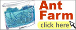 ant farm