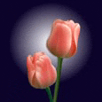 Send Easter Greetings