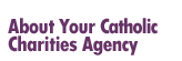 About Your Catholic Charities Agency