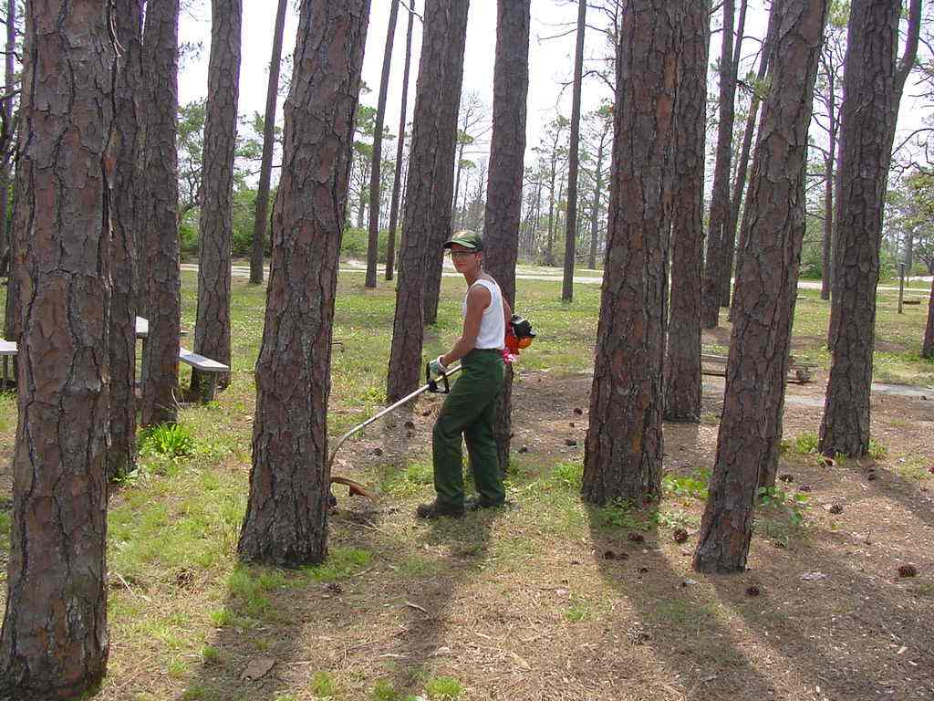 GUIS employee weed wacks Fort Pickens campground