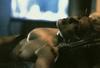 Madonna video 9