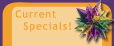 mardi gras 2004 specials