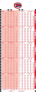 Mega Millions Bet Slip