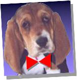 emmablue.jpg (5387 bytes)