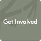 Get Involved