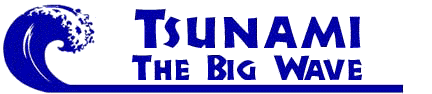 Tsunami: The Big Wave
