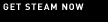 getSteamNow