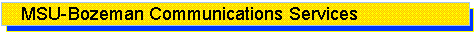 MSU Communications Services