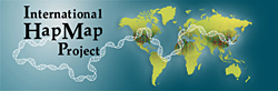 HapMap logo