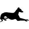 greyhound