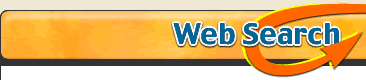 Web Search