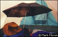 An umbrella inside a tent