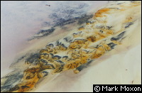 Strange coloured sand on the shores of Lake Boomanjin