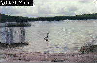 Lake Birrabeen