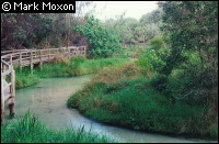 Eli Creek