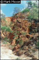 Rainbow Gorge