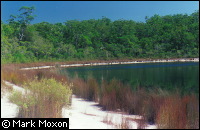 Basin Lake