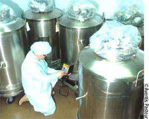Aventis Pasteur