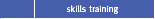 Skills Training
