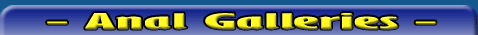 Anal Galleries