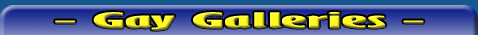 Gay Galleries