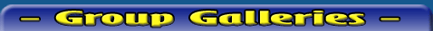 Group Galleries