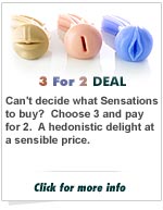 3 for 2 Fleshlight Inserts GREAT DEAL!!