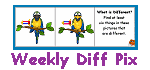 diffpix.gif - 3744 Bytes