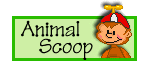 Animal Scoop