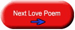 Next Love Poem