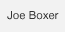 Joe Boxer