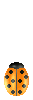 Animated graphic of a lady bug.