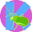 Graphic of a bug on the letter "K."