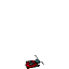 a jumping bug