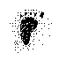 foot.gif (1129 bytes)