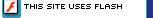 This site uses Flash